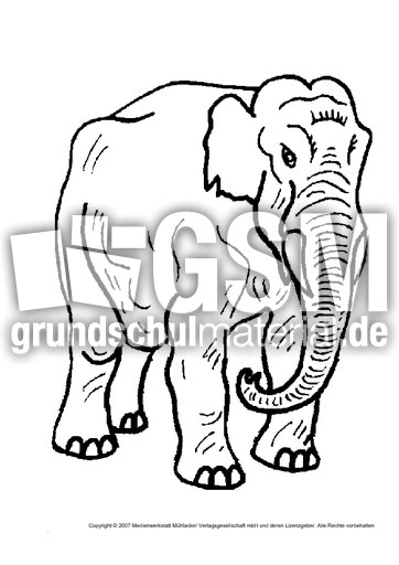 Elefant-1.pdf